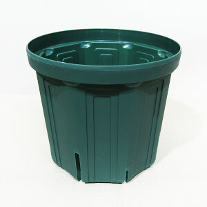 ���X���b�g���� �X���b�g�� 6�� ���X�O���[�� CSM-180