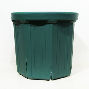 ���X���b�g���� �X���b�g�� 10�� ���X�O���[�� CSM-300