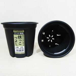 Xbg 悵 4 ubN yeʖ0D5L 1