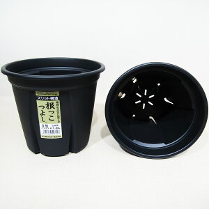 Xbg 悵 5 ubN yeʖ1D2L 1