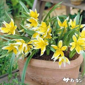 HA̋ Ch`[bv `[bv ^_ 5