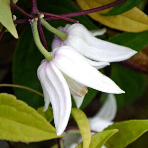 h~炫N}`X@zCg@GWF΁@Ri[^n4|bgc