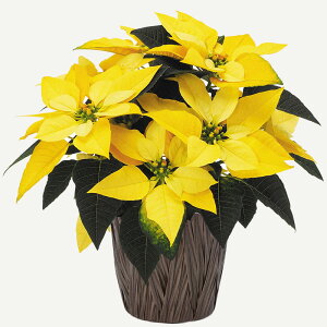 y\izEB^[Mtg|CZ`A CG[NX 5A