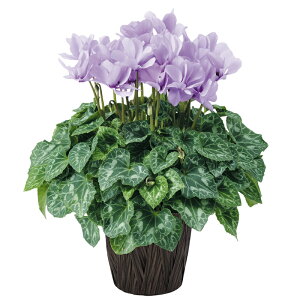 y\izEB^[MtgɁVNZi[fBACbNt5Jo[