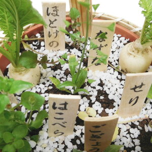 y\iz񂹐A]ːYt̎񂹐AēZbg5