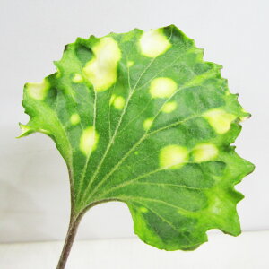 R쑐EÓT|A@cuL@Ε@OFgt@4A