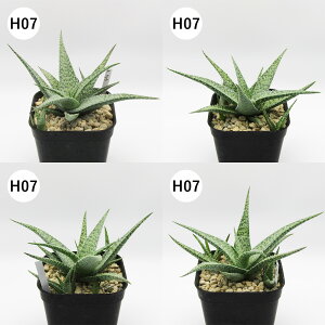 yAtFAz@A@AGnCubh@Aloe hyb@^Cz@3A@i̔qH01`H12r