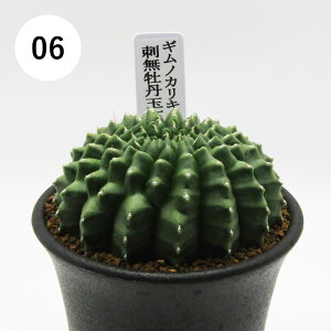 AtFA@i̔@JN^Xc@T{e@MmJLE@hOʐΉ@2D5A