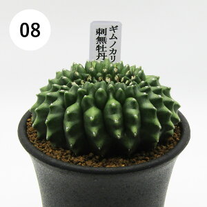 AtFA@i̔@JN^Xc@T{e@MmJLE@hOʐΉ@2D5A