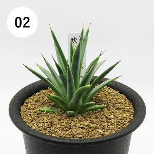 AtFA@i̔@JN^Xc@A@AKxEXgN^@@3A