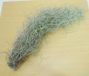 eBWAEGAvc EXlICfX qiqi