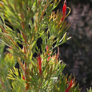 씼vc@AfiTX@JjK[~[ubV@JjOn~[ubV@JjOn[~ubV@5A@CCdJt[vc̃lCeBuvc