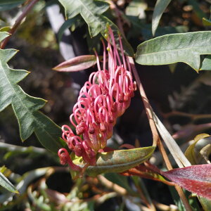 씼vc OrA v[_ C}g 6A