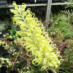 Ǖi؁lCeBu vc OrA[Cg5A