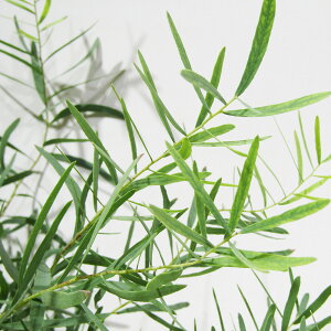 Ǖi؁ [J̕c [J jRijR[EjbR[j 5A