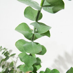 Ǖi؁ [J̕c [J vx^ 5A