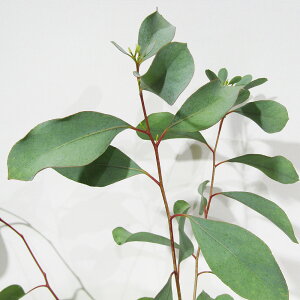 Ǖi؁ [J̕c [J |vlA 5A