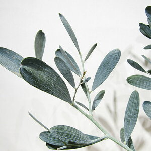 Ǖi؁lCeBuvcAJVA@h5A