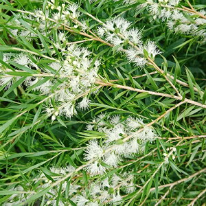 Ǖi؁ēׁIEJlCeBu vc EJ@uNeA[^@ubNeB[c[9cm|bgc