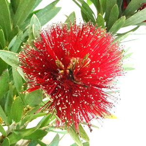 Ǖi؁ēׁIRpNgiIlCeBu vc JXe@gW3D5|bgc