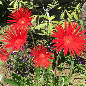 hchd炫NVbNK[x@uCgbh10.5cm|bgc