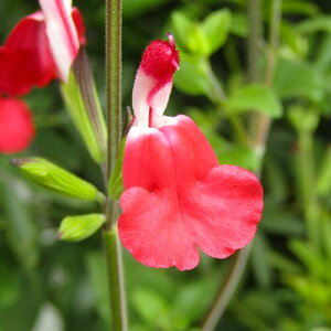 h`F[Z[W@zbgbvX@10D5cm|bgc