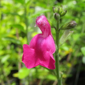 h`F[Z[WsNubV10D5cm|bgc