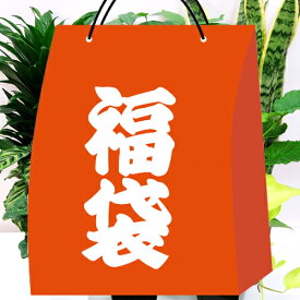 【ご予約品】送料無料■お得な福袋■インドアグリーン　観葉植物福袋 おまかせ 9鉢セット