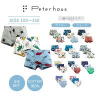 【200円オフクーポン☆1399円⇒1199円～8/31 9:59】【 送料無料 】下着 ブリーフ 男児 ジュニア 子供 ト…
