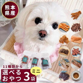 【 300円OFF　クーポン 有 】 選べる 3袋 ミニ 犬 おやつ 無添加 国産 ドッグフード 馬肉 鶏肉 鹿肉 ジャーキー 犬用 ペット シニア 大型犬 柴犬 中型犬 小型犬 犬用 ペットフード ペット用品 お試し 送料無料 sale 猫 おやつ ズーット 公式 ドッグフード