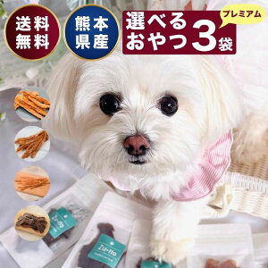 y300~OFF@N[| L z Iׂ 3    Y Y hbOt[h n { V剤 W[L[ p ybg َq  VjA ^ Č ^ ^ p ybgt