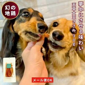 y 300~OFF@N[| L z V剤  W[L[ 30g   Y Y hbOt[h {  p ybg VjA ^ Č ^ ^ p ybgt[h ybgpi v