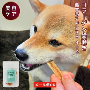 【300円OFF クーポン 有】 馬 アキレス ジャーキー 40g ミドル 犬 おやつ 無添加 国産 ドッグフード 馬肉 アレルギー ヘルシー 歯石 アキレス腱 ハード 歯磨き ガム 長持ち 犬 大型犬 柴犬 中型
