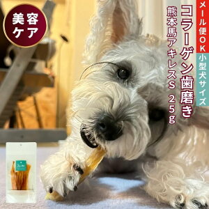 【300円OFF クーポン 有 】 馬 アキレス ジャーキー 25g ショート 犬 おやつ 無添加 国産 ドッグフード 馬肉 アレルギー ヘルシー 歯石 アキレス腱 歯磨き ガム 長持ち 犬 おやつ 大型犬 柴犬 中