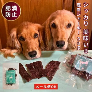 y300~OFF@N[| L z  W[L[ 30g   Y Y hbOt[h p ybg َq  VjA ^ Č ^ ^ p ybgt[h ybgpi ق v