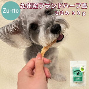 y 300~OFF@N[| L z B ܂n[u  W[L[ 30g   Y Y hbOt[h {  p ybg VjA ^ Č ^ ^ p ybgt[h yb