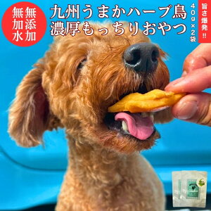 y 300~OFF N[| L z ܂n[u ނ  gg 40g × 2    Y Y hbOt[h {  p ybg َq VjA ^ Č ^ ^ p ybgt