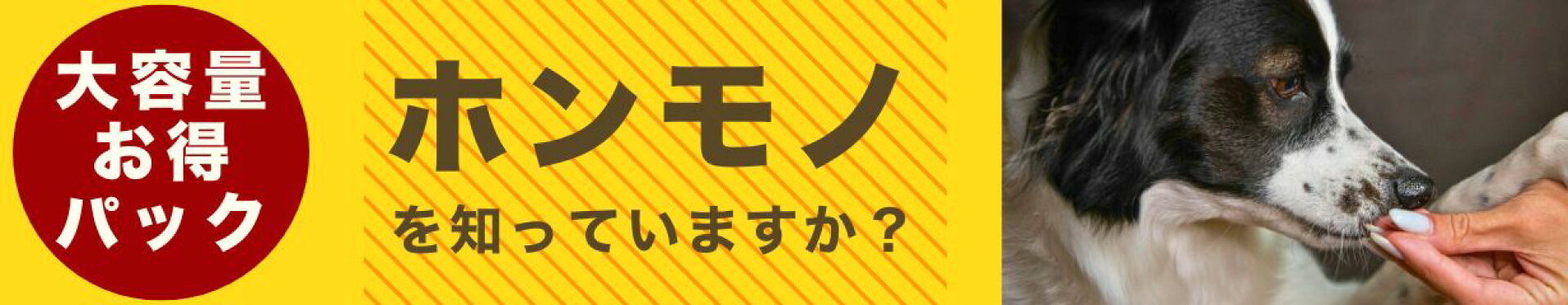 大容量　お得　パック