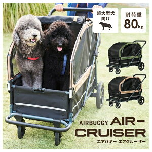 GAoM[ GA[N[U[Zbg V[hx[W ybgJ[g  L AIRBUGGYy݌ɗLz