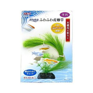 WFbNX _Ji ӂӂY ~ [4972547042873]