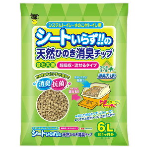 X[p[Lbg NEWV[g炸̓VRЂ̂L`bv Ђ̂ICvX 6L [4973640500710] | V[g炸 L Ђ̂L`bv VRЂ̂ Ђ̂IC L`bv ybgpgC