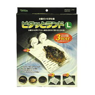 ◇ビバリア ピタッとランド L | ビバリア 水棲ガメ 浮き島 ピタッとランドL 爬虫類用品 水中棲ガメ 甲羅…