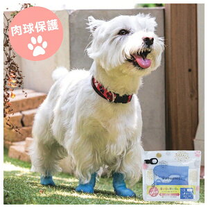 sJR[|CV PAWA-SB-2 pI[V[Yu[c pEeNg | pC sJR[|CV ybgC ʋCE^Cv ی AEghA V[Y ~ h V U ^