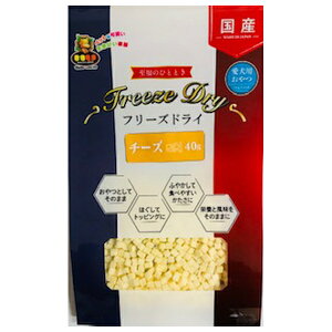 }W[&EGtN t[YhC `[Y 40g | t[YhC `[Y   Yi Y t[h XibN  i``[Y ybgp `[YXibN ӂ肩 p`[