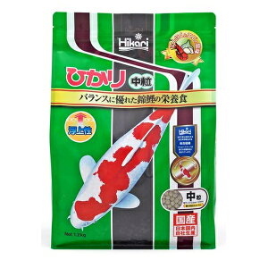 L[ Ђ蒆 1.2kg | ьt[h L[ Ђ ь a  ANAE  㐫 Sh{ GT ь̉a H~h ɂɂ Gr ь nD h~ ǎ