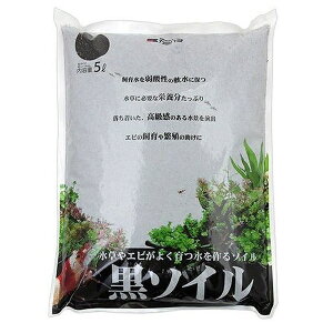 _{pi \C 5L | \C Mы ꏰ   ANAE \C VRy ċ  Ϗ܋ Gr tGr a { ͔| \C ꍻ  ԓy h 