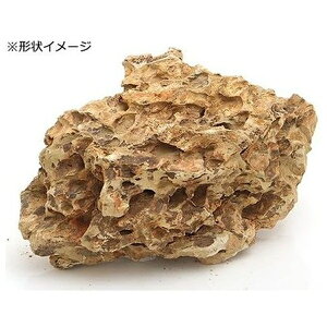 _{pi ANAEbN CE  | ANAEbN CE J~n^ VR CAEgf ANAE iϏ  Ri  CNT ΍ GrB  A