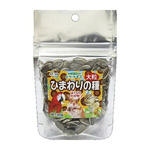 ybgt[h Rh Ђ܂̎嗱 20g