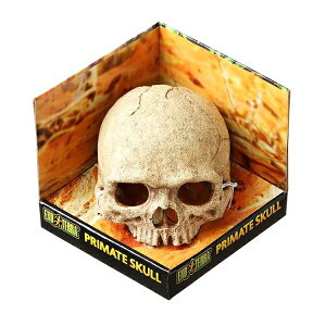 ���W�F�b�N�X �X�J�� PT2855 | GEX �G�L�]�e�� �X�J�� �[�� �B��� ঒��� ���C�A�E�g�p�i �e�����E�� �o�X�L���O �V�F���^�[ ���A�� �� �o�X�L���O�X�|�b�g ���̃n�E�X �W�F�b�N�X �X�g���X�t