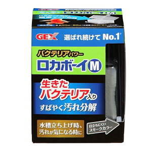 WFbNX J{[CoNeAp[M |  tB^[ ANAE J{[C oNeA eiX hߊ   WFbNX Ǘ tB^[fBA C W 